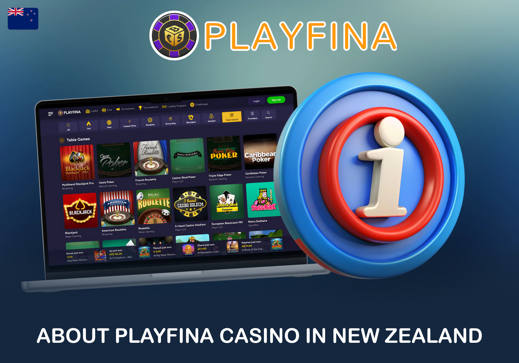 About Playfina